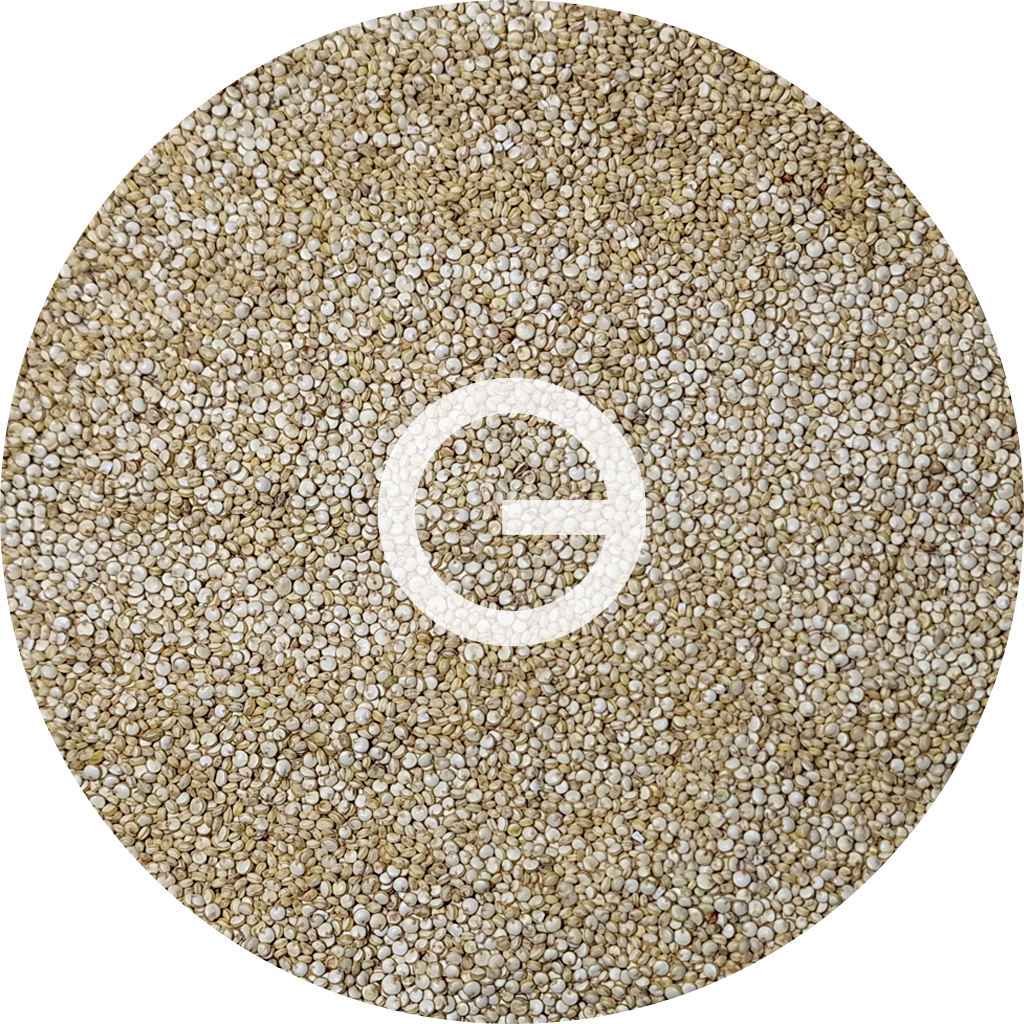 Quinoa blanca 5KG