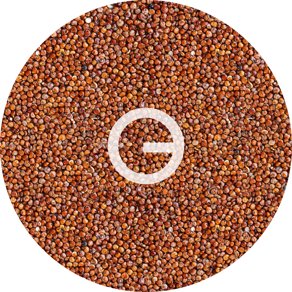 quinoa roja 5KG